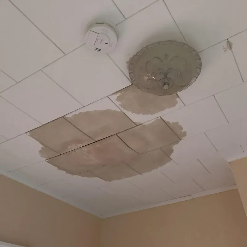 Ceiling Water Damage Repair in Friend, NE