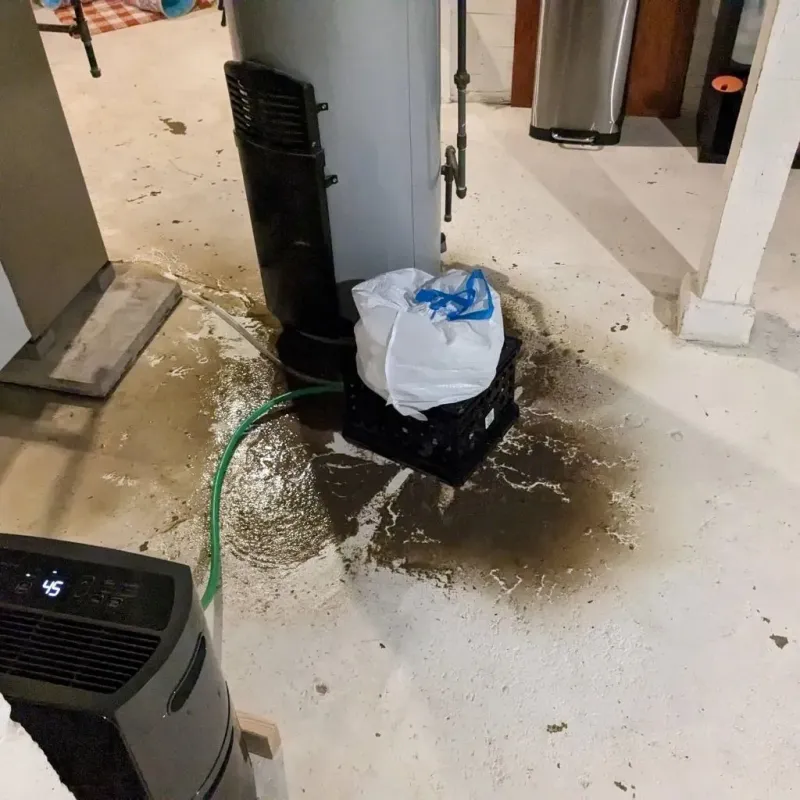 Sewage Backup Cleanup Service in Friend, NE